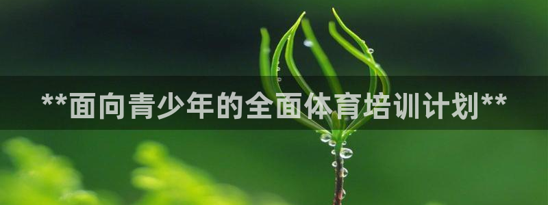 欧陆娱乐中国：**面向青少年的全面体育培训计划**