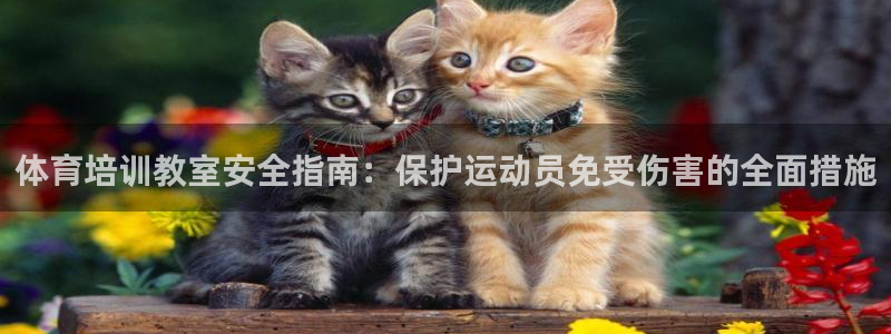 欧陆娱乐怎么注册：体育培训教室安全指南：保护运动员免