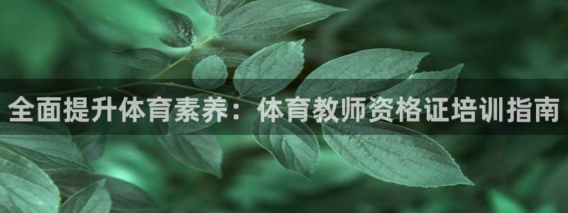欧陆娱乐简介：全面提升体育素养：体育教师资格证培训指
