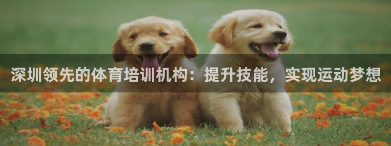 欧陆娱乐请输入USDT地址：深圳领先的体育培训机构：