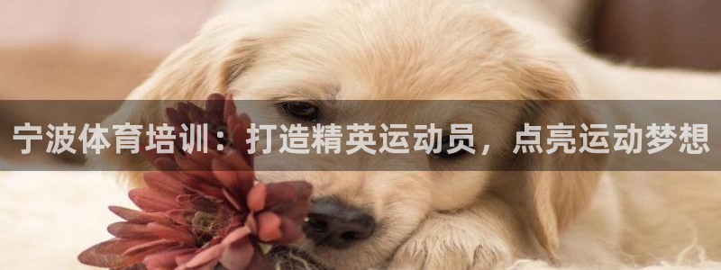 欧陆娱乐平台登录不上怎么办：宁波体育培训：打造精英运