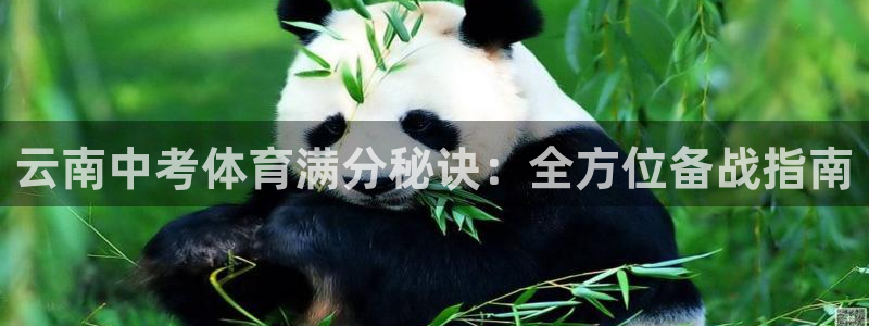 欧陆娱乐平台咋样赚钱的：云南中考体育满分秘诀：全方位