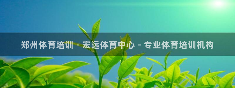 欧陆娱乐访问：郑州体育培训 - 宏远体育中心 - 专