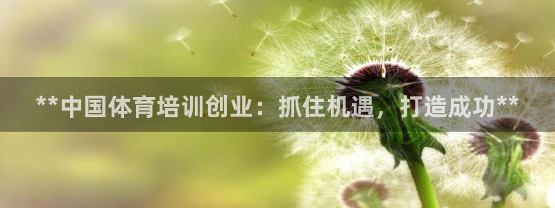 欧陆娱乐打什么方案赚钱：**中国体育培训创业：抓住机遇，打造