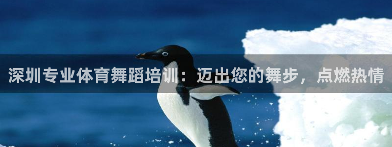 欧陆娱乐平台登录不上怎么办：深圳专业体育舞蹈培训：迈