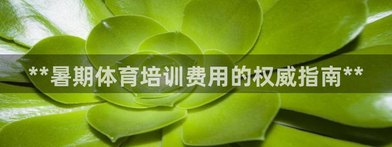 欧陆娱乐挂机项目怎么弄：**暑期体育培训费用的权威指