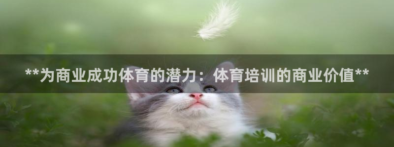 欧陆娱乐客服：**为商业成功体育的潜力：体育培训的商业价值*