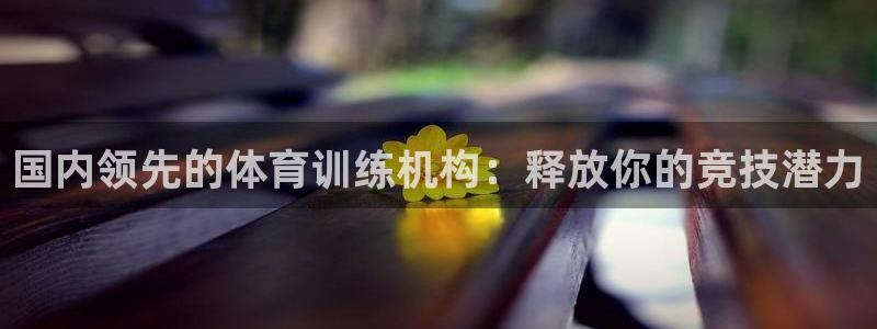 欧陆娱乐总代：国内领先的体育训练机构：释放你的竞技潜
