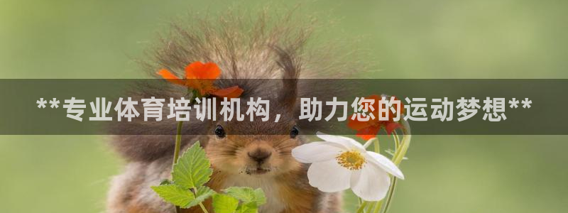 欧陆娱乐官方网站下载：**专业体育培训机构，助力您的