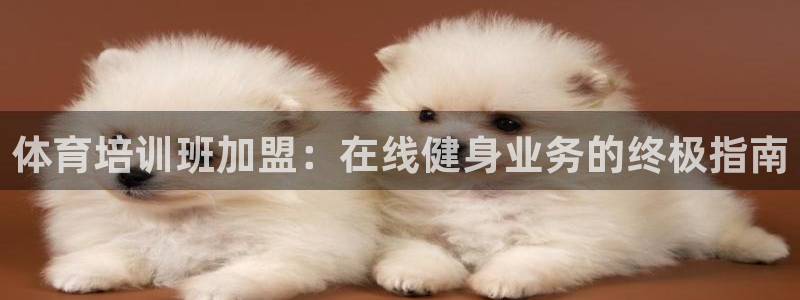 欧陆商城：体育培训班加盟：在线健身业务的终极指南