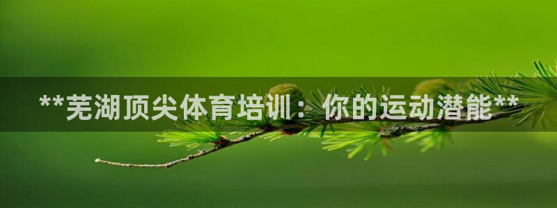欧陆娱乐信誉如何：**芜湖顶尖体育培训：你的运动潜能**