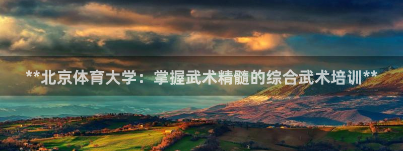 欧陆娱乐平台登录不上去了：**北京体育大学：掌握武术