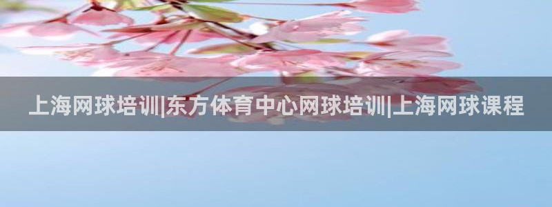 欧陆娱乐注册平台：上海网球培训|东方体育中心网球培训|上海网