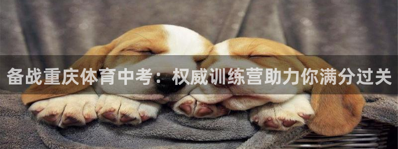 欧陆娱乐平台登录不上怎么办：备战重庆体育中考：权威训练营助力