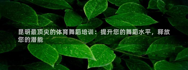 重庆欧陆娱乐有限公司：昆明最顶尖的体育舞蹈培训：提升您的舞蹈