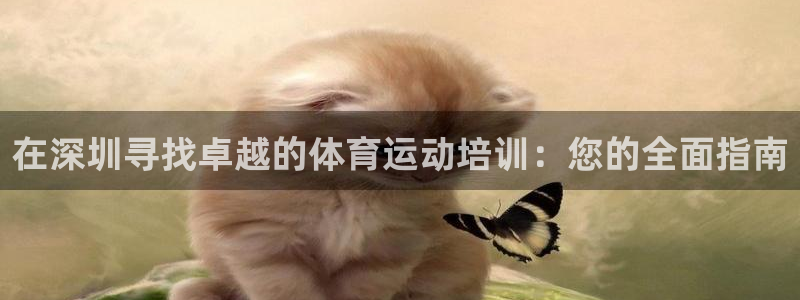 欧陆娱乐代理 贴吧官网：在深圳寻找卓越的体育运动培训