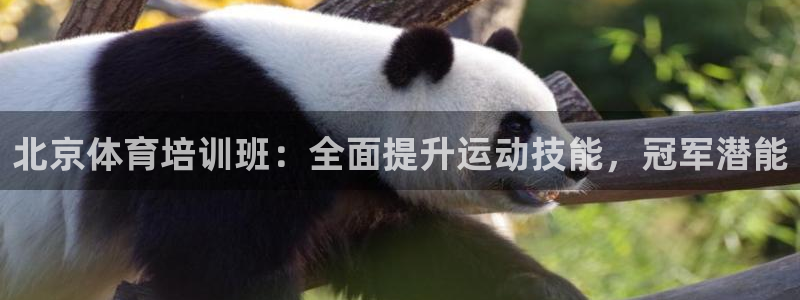 欧陆娱乐怎么注册帐号：北京体育培训班：全面提升运动技